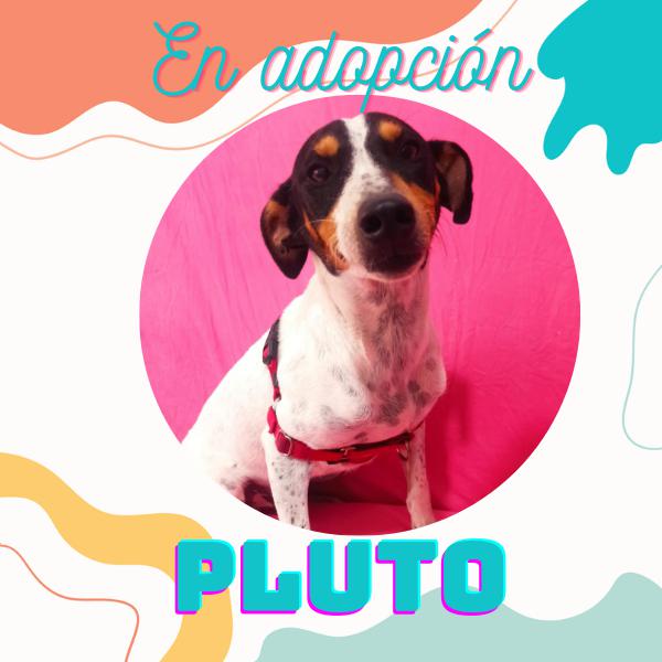 Pluto